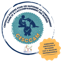 CESCCAM (transparent)