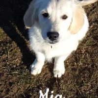 Mia